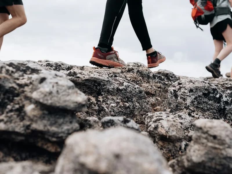 Longtrail GTX Low
