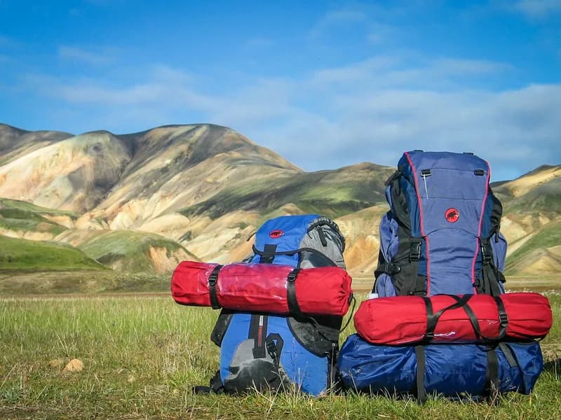 Overland 40L Travel Pack